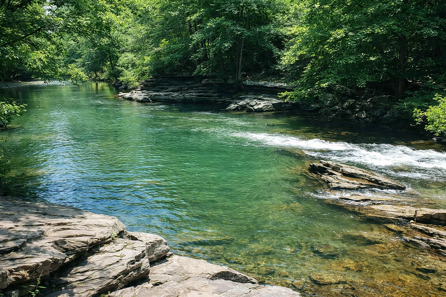 The Cove at Turkey Creek Community